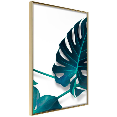 Poster Turquoise Monstera I-01