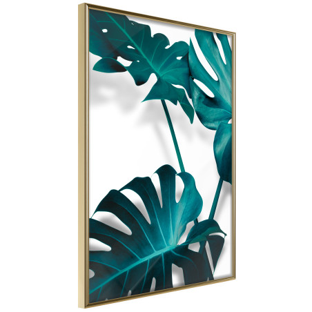 Poster Turquoise Monstera II-01