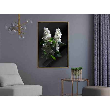 Poster White Lilac-01