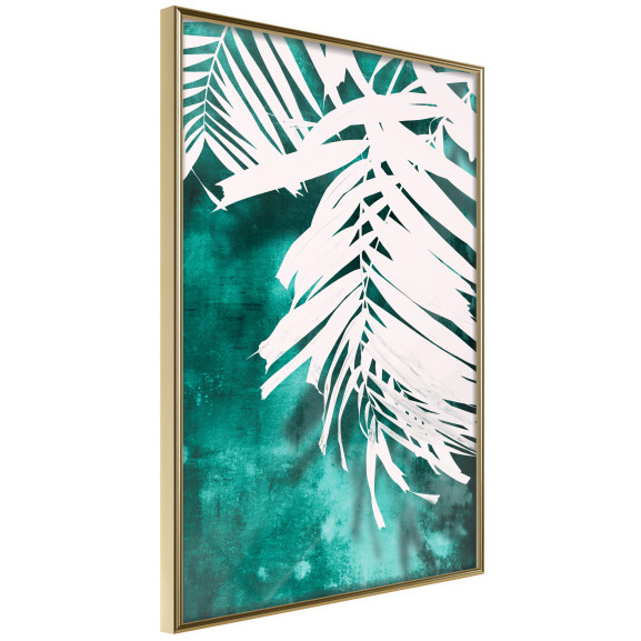 Poster White Palm on Teal Background