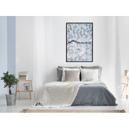 Poster Winter Forest From a Bird's Eye View-01