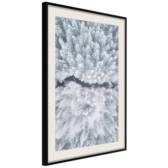Poster Winter Forest From a Bird's Eye View