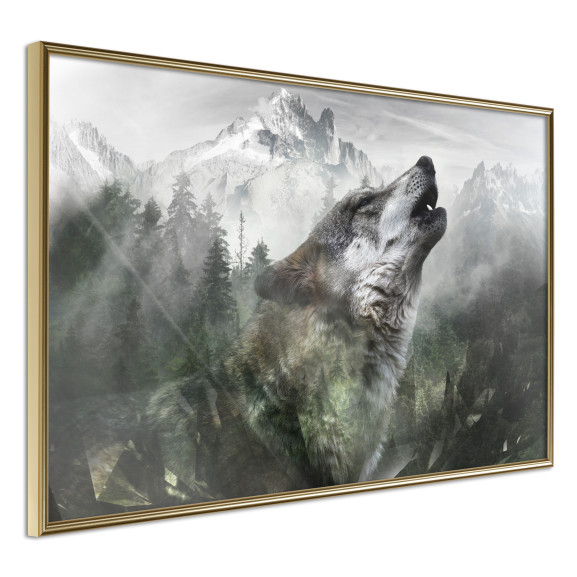 Poster Wolf's Territory