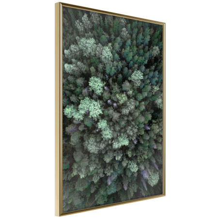 Poster World from High Above-01