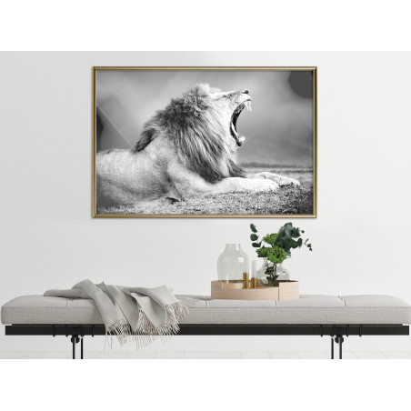 Poster Yawning Lion-01