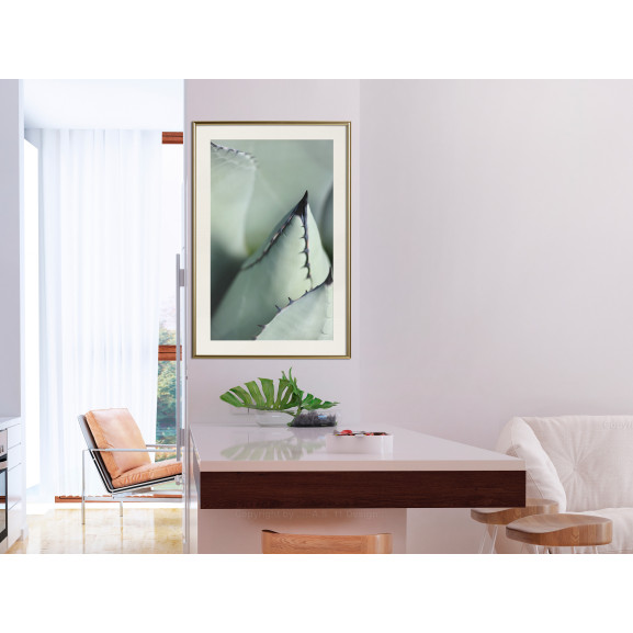 Poster Young Leaf of Agave