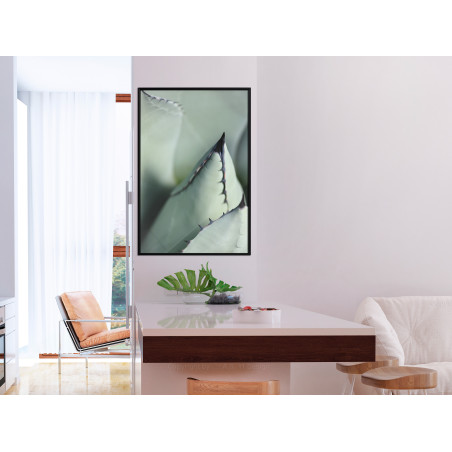 Poster Young Leaf of Agave-01