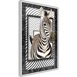 Poster Zebra in the Frame