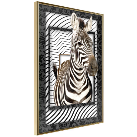 Poster Zebra in the Frame-01