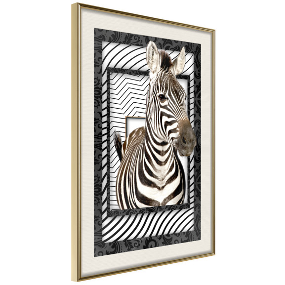 Poster Zebra in the Frame