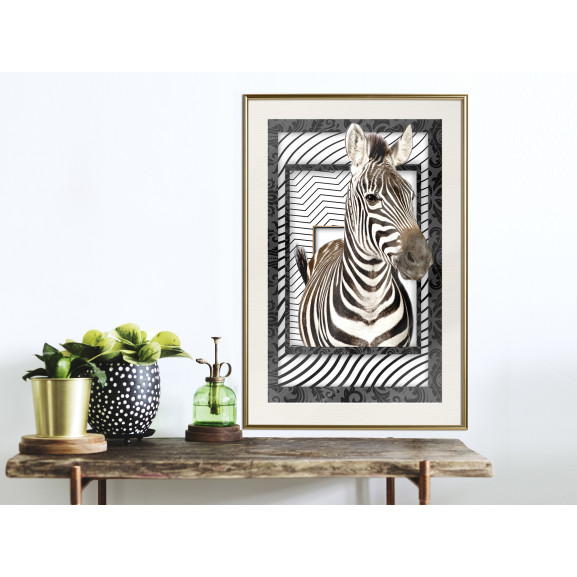 Poster Zebra in the Frame