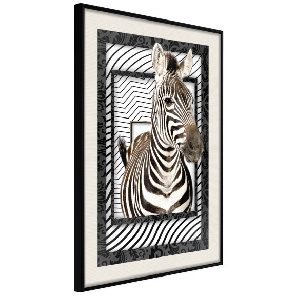 Poster Zebra in the Frame