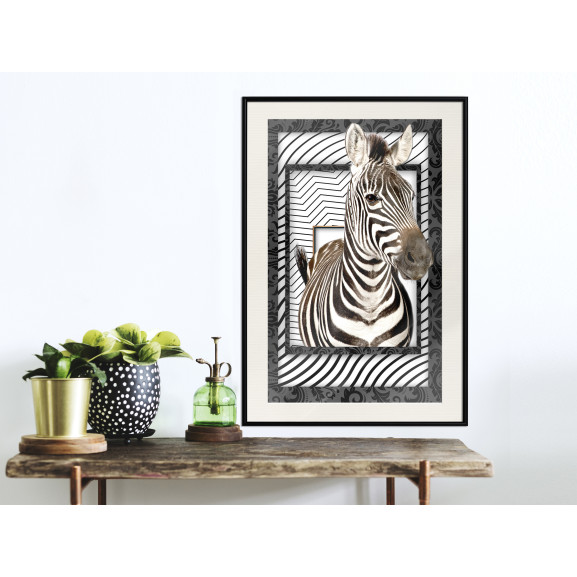 Poster Zebra in the Frame