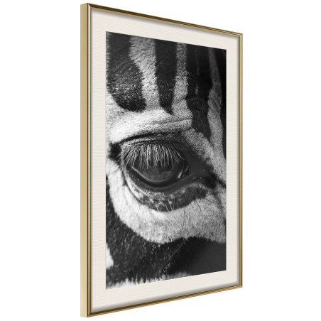 Poster Zebra Is Watching You-01