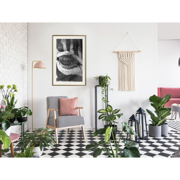 Poster Zebra Is Watching You