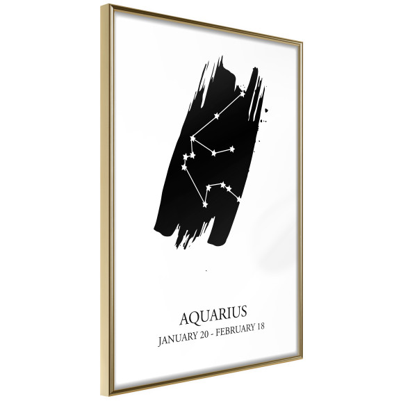 Poster Zodiac: Aquarius I