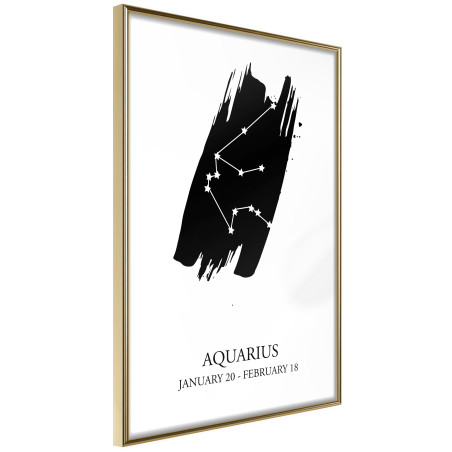 Poster Zodiac: Aquarius I-01