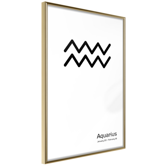 Poster Zodiac: Aquarius II