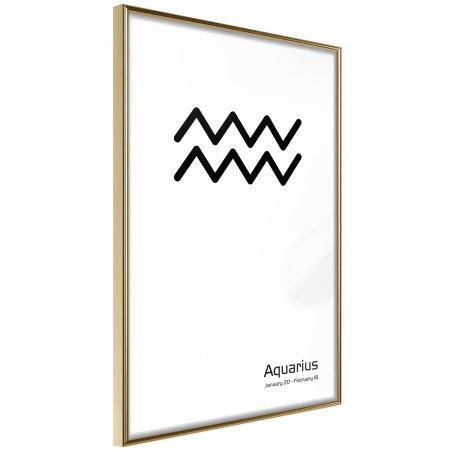 Poster Zodiac: Aquarius II-01