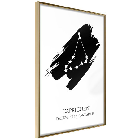 Poster Zodiac: Capricorn I-01