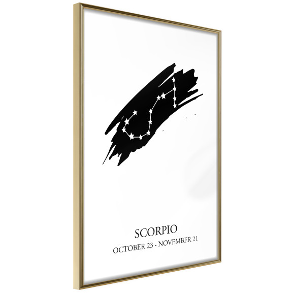 Poster Zodiac: Scorpio I