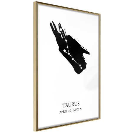 Poster Zodiac: Taurus I-01