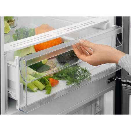 Combina Frigorifica NoFrost Electrolux LNT5MF32U0, F, Inox Antiamprenta, 186 x 60 x 65 cm-01