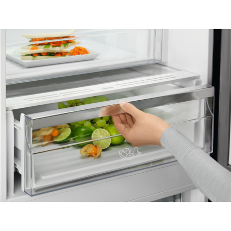 Combina Frigorifica NoFrost Electrolux LNT7ME32X2, E, NoFrost, Inox Antiamprenta,186 x 60 x 65 Cm-01