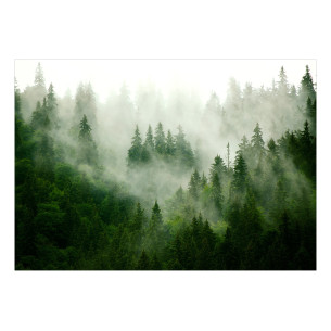 Fototapet Mountain Forest (Green) 300 x 210 cm-Resigilat