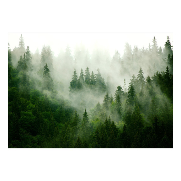 Fototapet Mountain Forest (Green) 300 x 210 cm-Resigilat