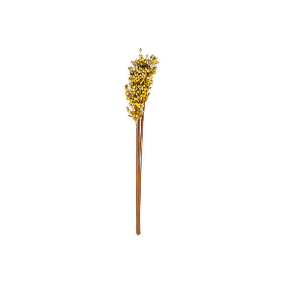 Floare Uscata Indian Corn, Galben