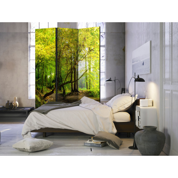 Paravan Forest Clearing [Room Dividers] 135 Cm X 172 Cm-Resigilat