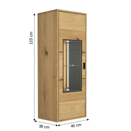 Etajera Urbano Oak Stanga Cu 1 Usa, Stejar Rustic Si Negru, 46 Cm-01