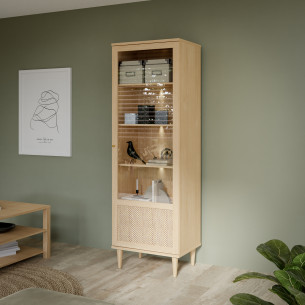 Vitrina 1 Usa Charleston, Stejar Elegancia si Polyrattan, 60.4 Cm