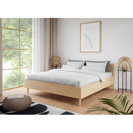 Pat Charleston, Dimensiune Saltea 180 x 200 Cm, Stejar Elegancia Si Polyrattan-01