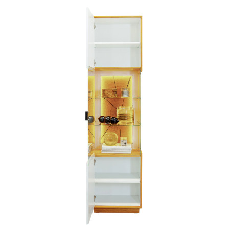 Vitrina 1 Usa Leuna 49.6  Cm-01