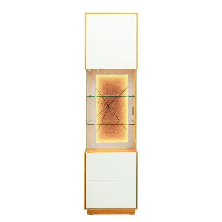 Vitrina 1 Usa Leuna 49.6  Cm-01
