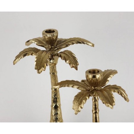 Sfesnic Palmier auriu 25 cm-01