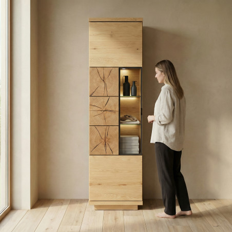 Vitrina Dakota Cu 1 Usa, 54 Cm-01