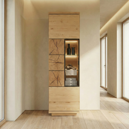 Vitrina Dakota Cu 1 Usa, 54 Cm-01