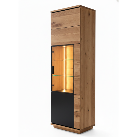 Vitrina Cu 1 Usa Dreapta Zenith, Furniruit Stejar, 57.9 Cm-01