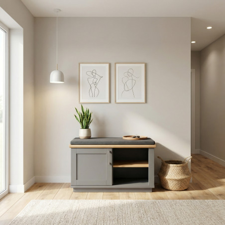 Pantofar 1 Usa Si 1 Nisa Alpina Graphit Matt, Vopsit Gri, Furniruit, 91 Cm-01