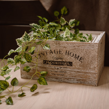 Set 5PCS cutie depozitare antico-01