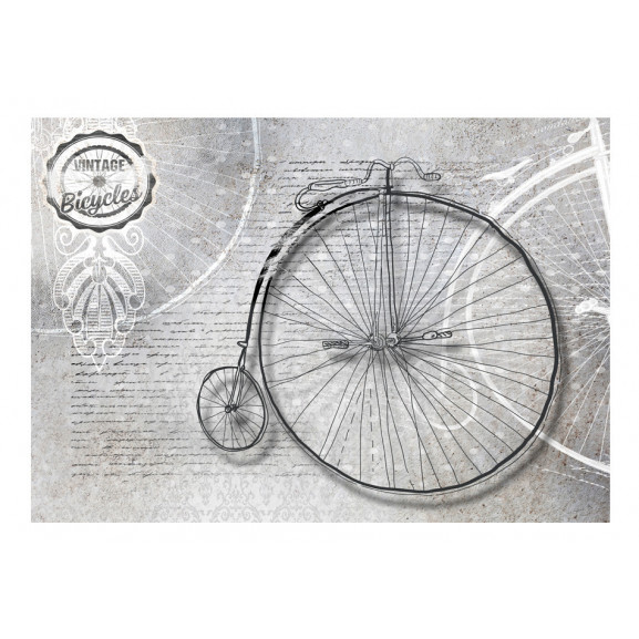 Fototapet vintage bicycles black and white