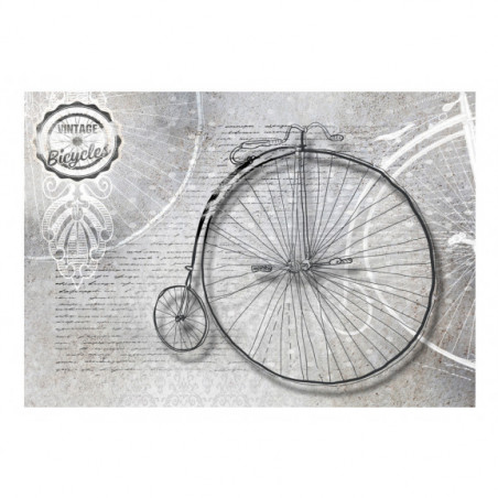 Fototapet Vintage Bicycles Black And White-01
