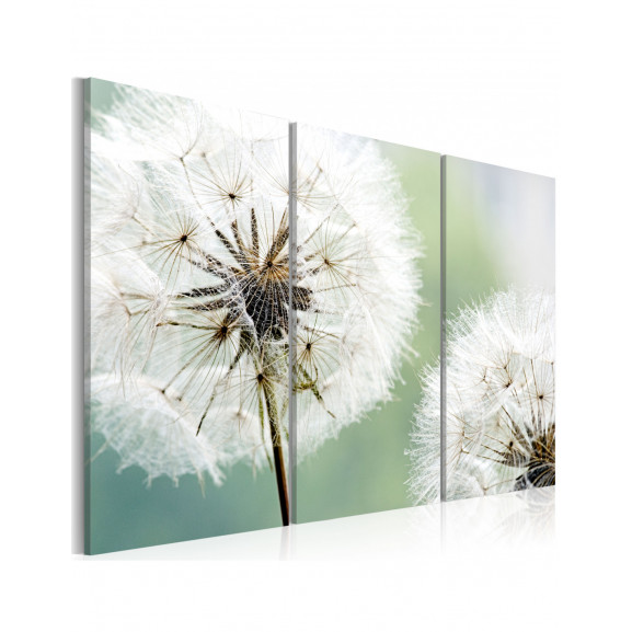 Tablou Fluffy Dandelions