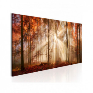 Tablou Autumnal Dawn