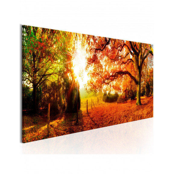 Tablou Magic Of Autumn Artgeist
