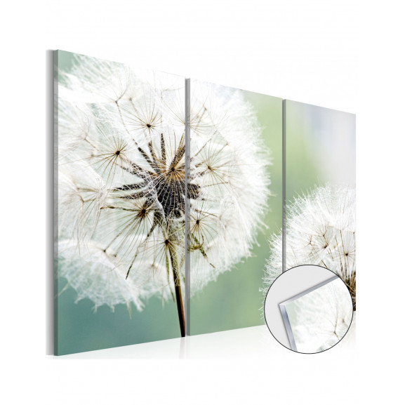 Imagine Pe Sticlă Acrilică Fluffy Dandelions [Glass]