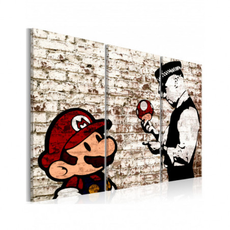 Tablou Mario Bros: Torn Wall-01